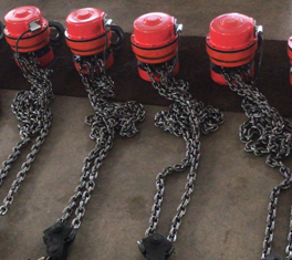 Are the ratchet and pawl devices of the electric chain hoist and the chain hoist the same